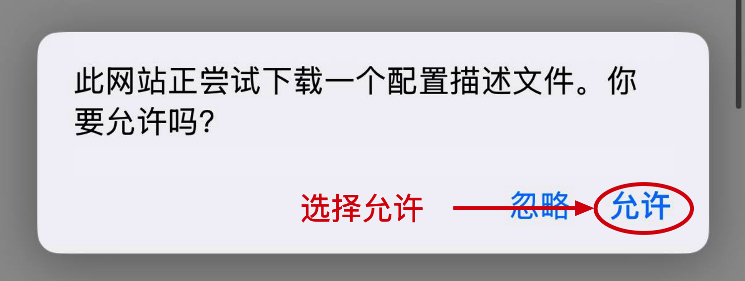 在 Safari 下载提示中选择允许