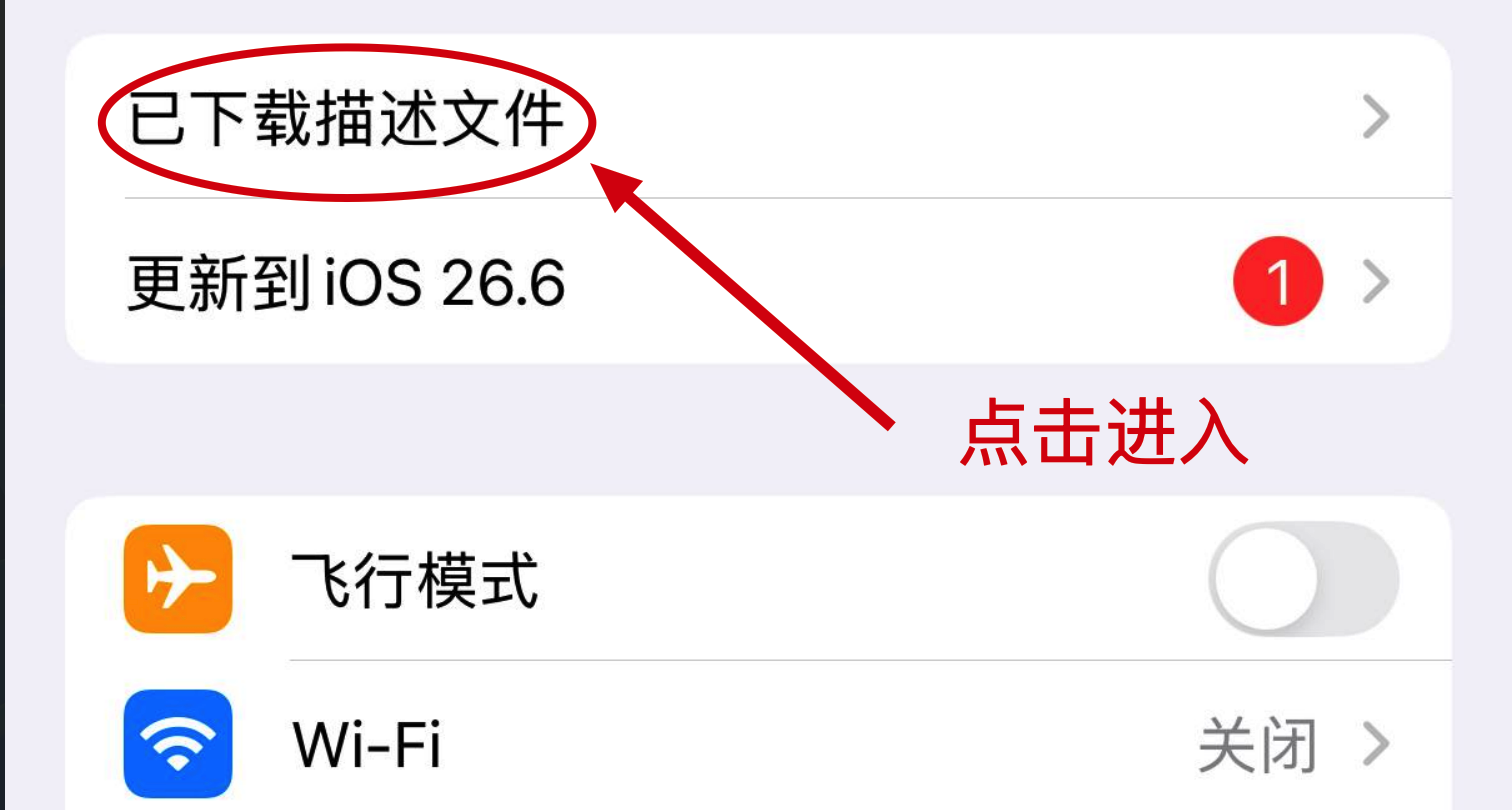 在设置中打开已下载描述文件